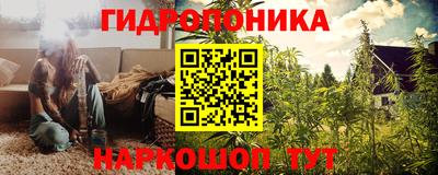 Альфа ПВП Пенза