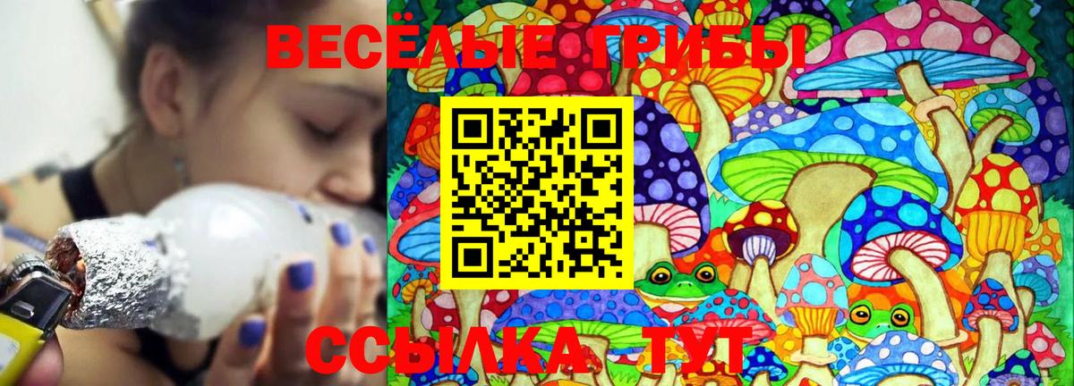 Пугачёв  Псилоцибиновые грибы Cubensis  Вход с VPN  Псилоцибиновые грибы Magic Shrooms 